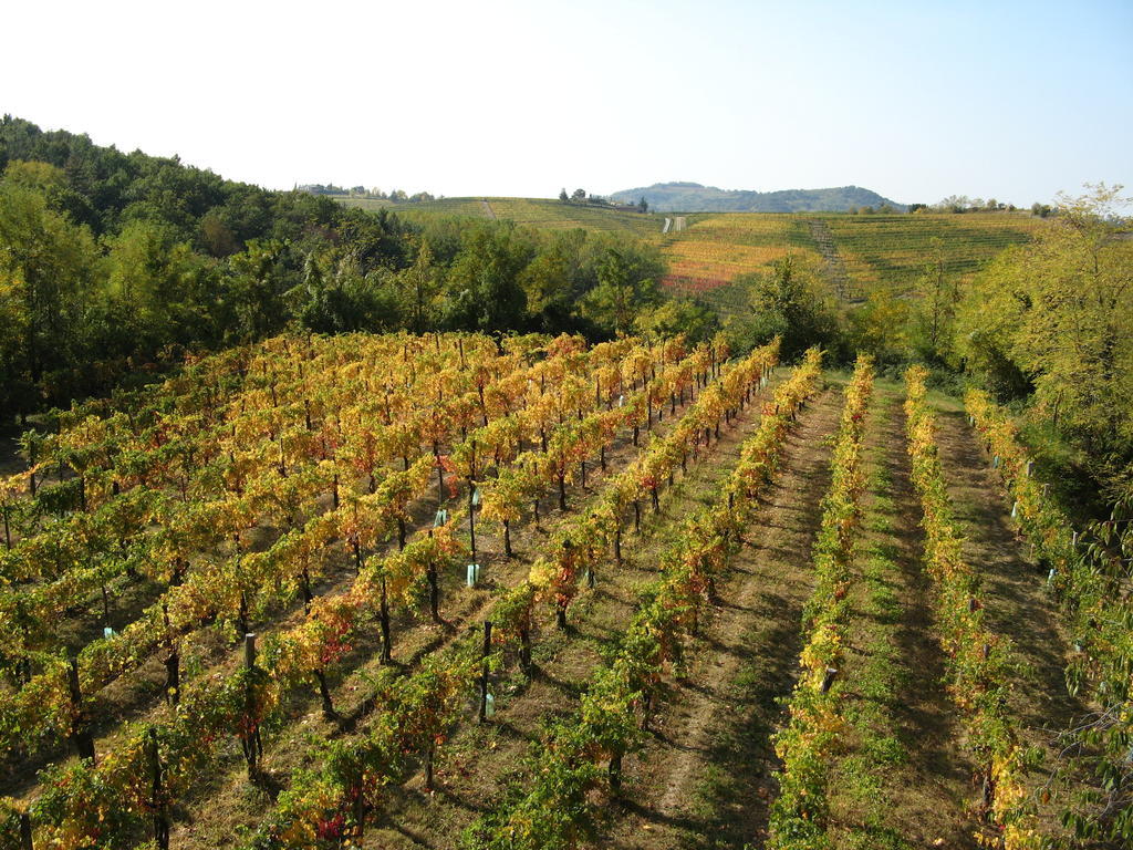 הוילה Cividale del Friuli Bosco Romagno מראה חיצוני תמונה