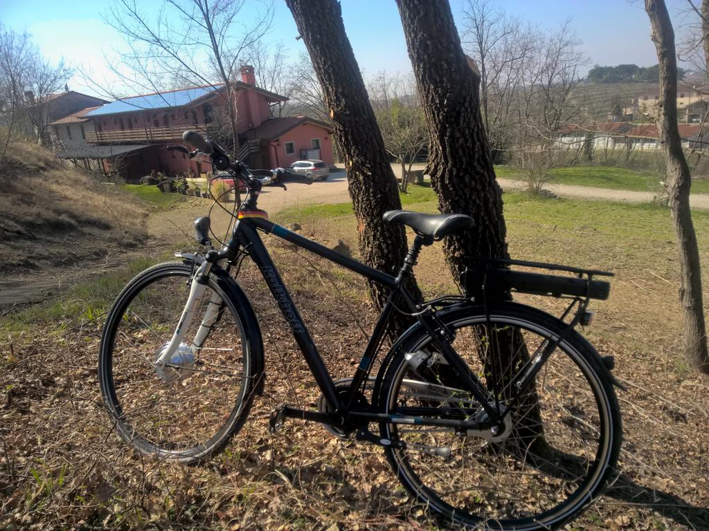 הוילה Cividale del Friuli Bosco Romagno מראה חיצוני תמונה